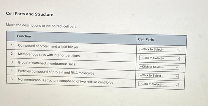 Solved Cell Parts and Structure Match the descriptions to | Chegg.com