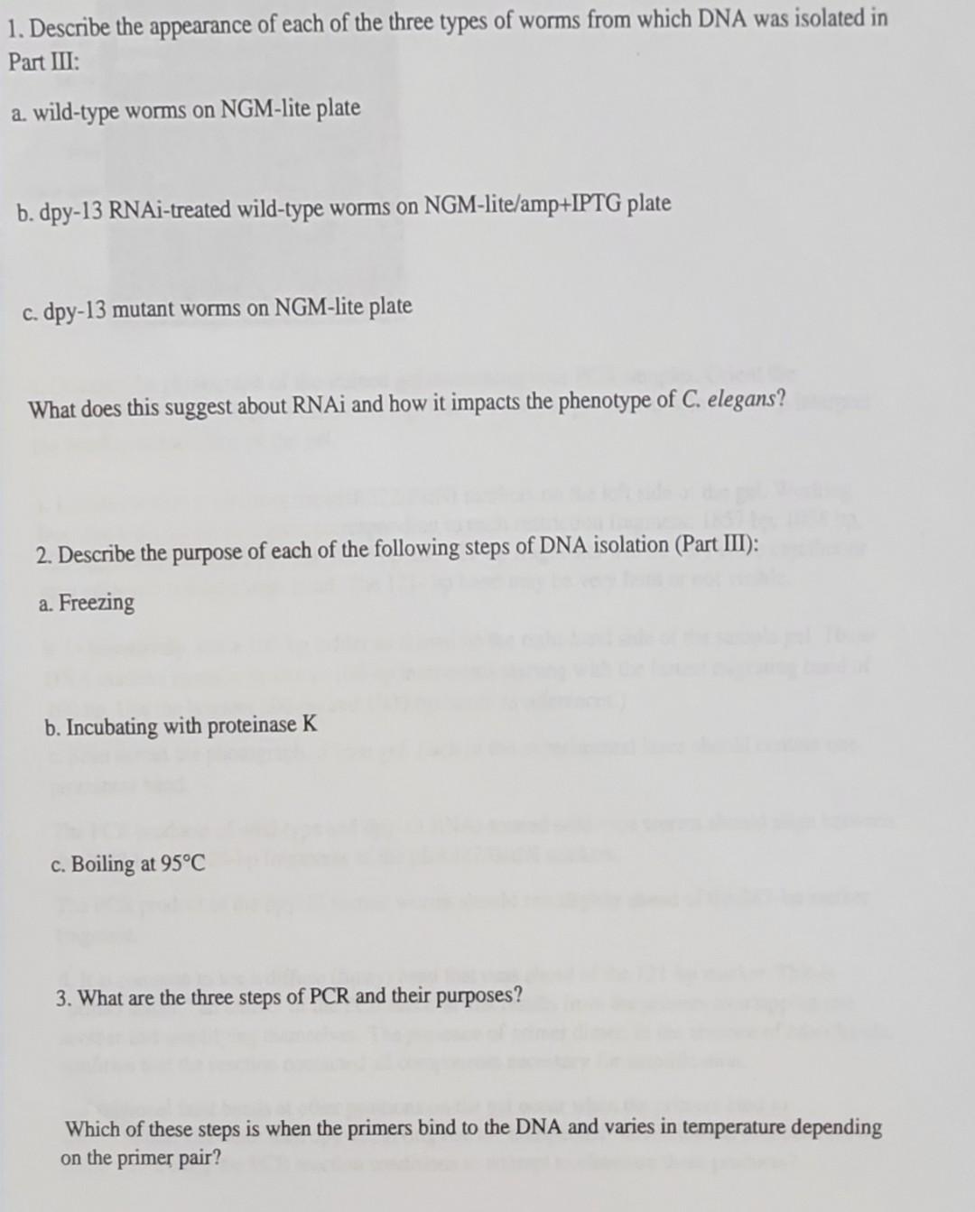 1. Describe the appearance of each of the three types of worms from which DNA was isolated in Part III:
a. wild-type worms on