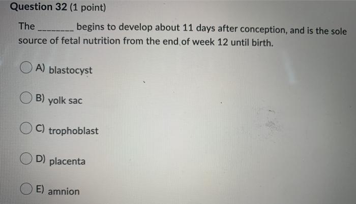 solved-question-32-1-point-the-begins-to-develop-chegg