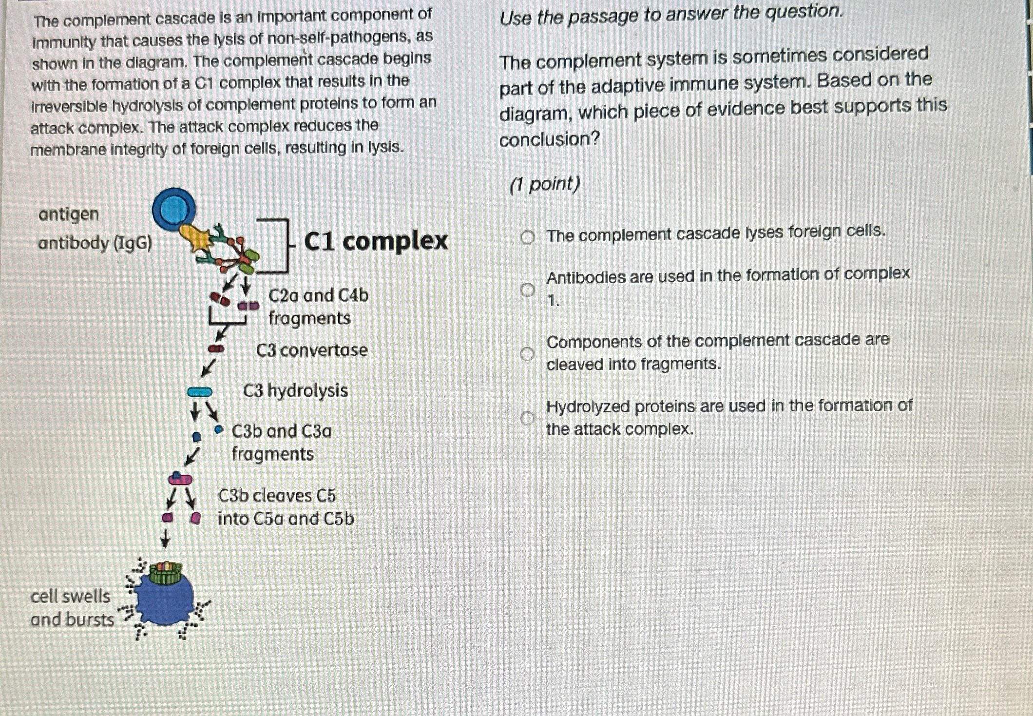Solved The complement cascade is an important component of | Chegg.com