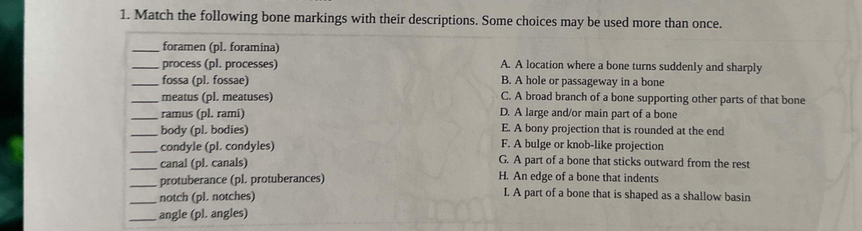 Solved Match The Following Bone Markings With Their Chegg Com   Image