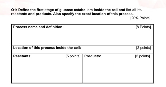 Solved Q1: Define the first stage of glucose catabolism | Chegg.com