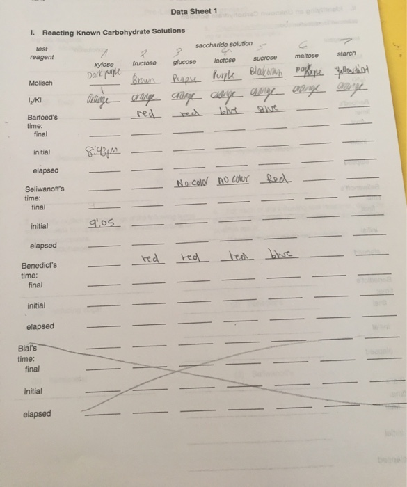 Data Sheet 1 1. Reacting Known Carbohydrate Solutions | Chegg.com