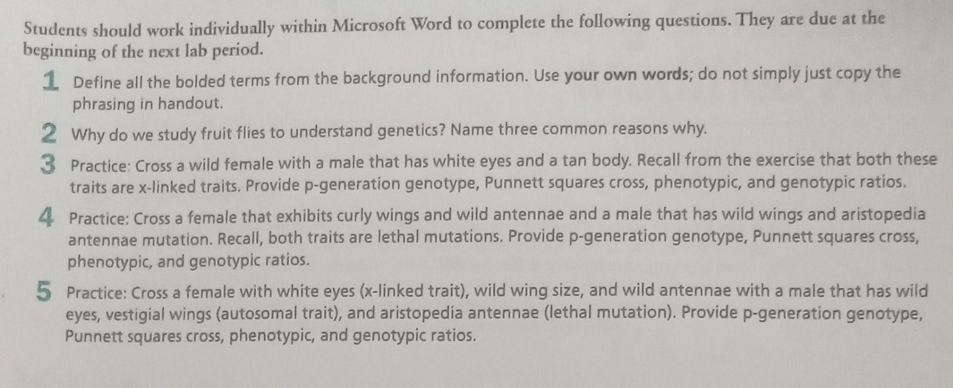 Students should work individually within Microsoft