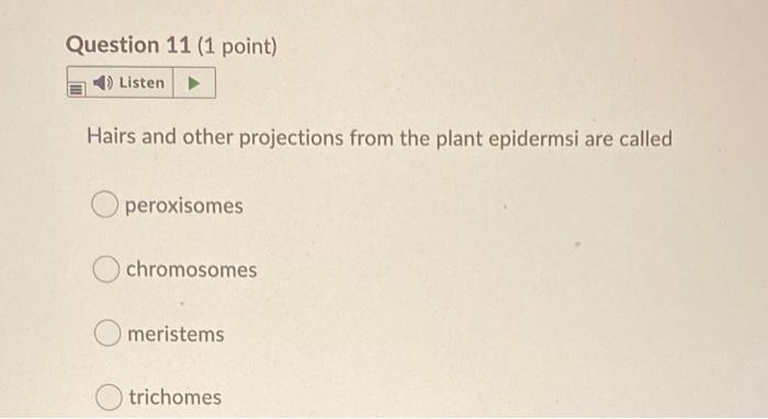 Solved Question 7 (1 point) Listen The three general types | Chegg.com