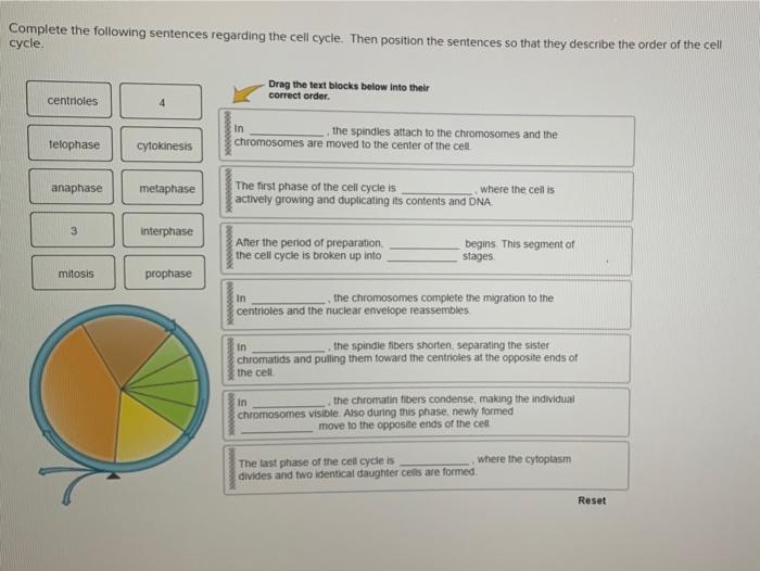 solved-complete-the-following-sentences-regarding-the-cell-chegg