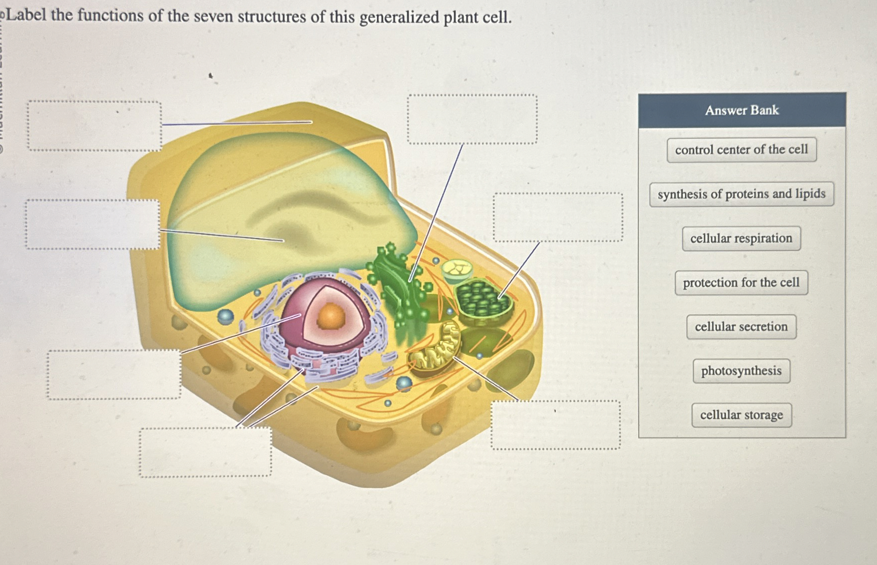 Solved oLabel the functions of the seven structures of this | Chegg.com