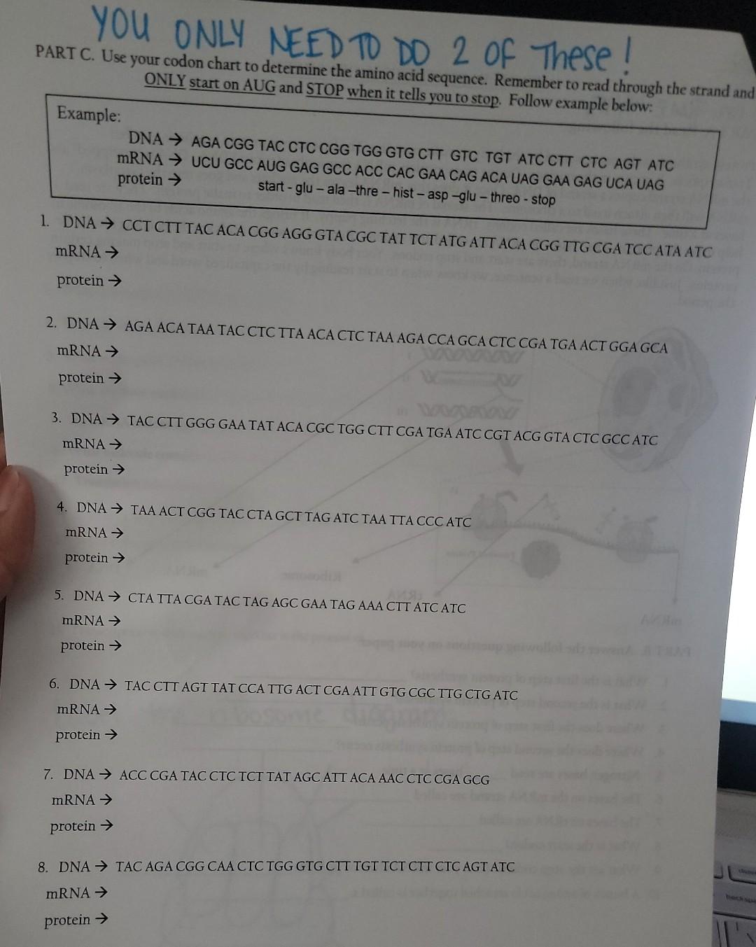 Solved PART A. Read the following: Protein synthesis is the | Chegg.com