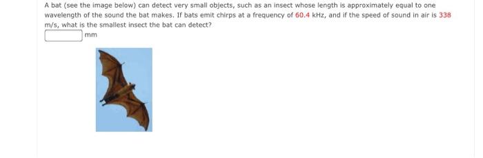 Solved A bat (see the image below) can detect very small | Chegg.com