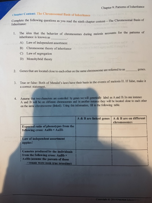 Solved Chapter 9 Patterns Of Inheritance Guided Reading 9555