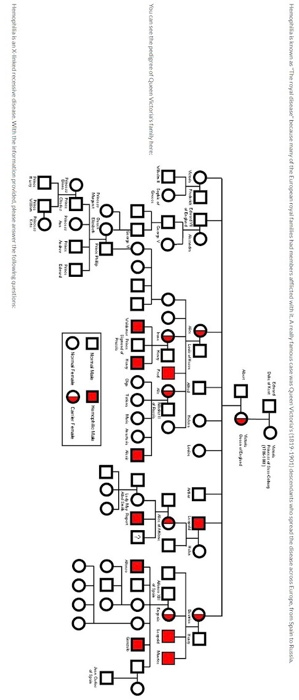 UIMSA 🐐 on X: The Christmas Disease is Hemophilia B or the royal disease.  The most famous family with hemophilia B was that of Queen Victoria of  England. Through her descendants, the