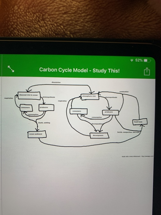Solved Carbon Cycle: Based on our class model of the | Chegg.com