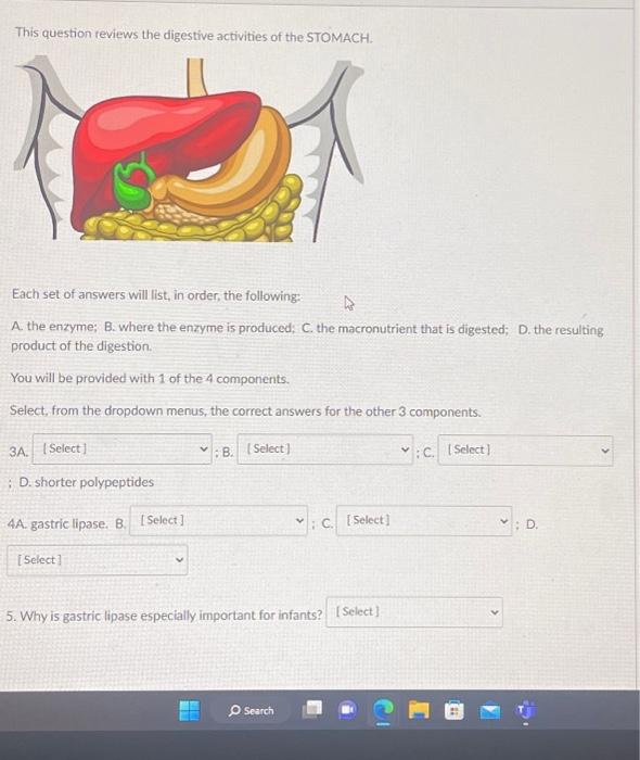 Solved This question reviews the digestive activities of the | Chegg.com