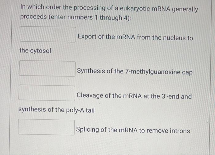 Solved In which order the processing of a eukaryotic mRNA | Chegg.com