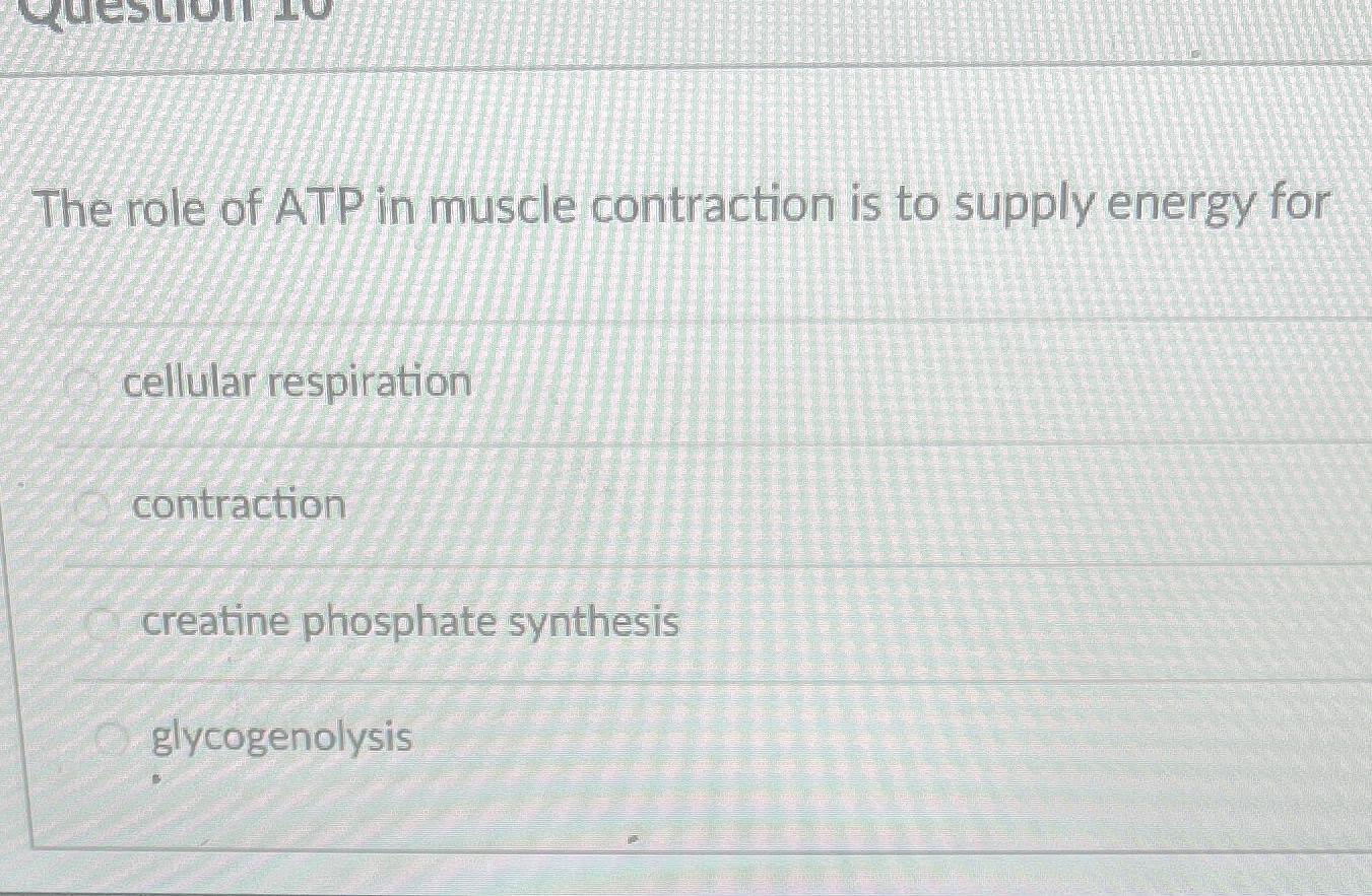 Solved The Role Of Atp In Muscle Contraction Is To Supply 