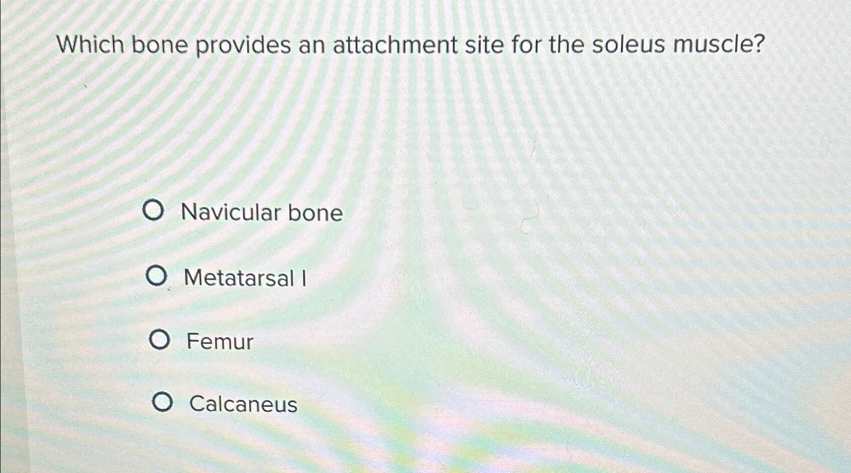 Solved Which bone provides an attachment site for the soleus