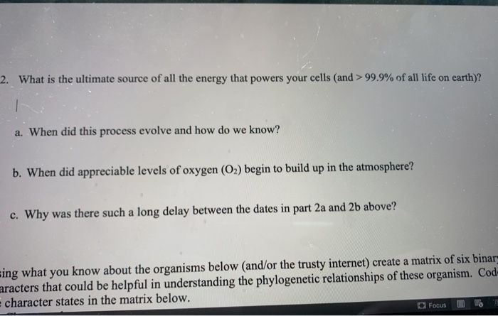 the ultimate source of the energy that powers our cells is