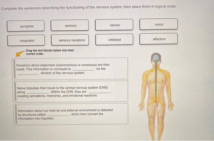 solved-complete-the-sentences-describing-the-functioning-of-chegg