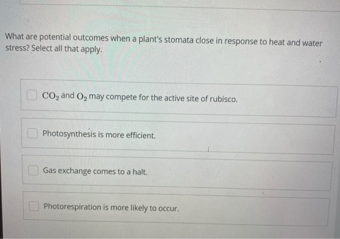 Solved What stages of the light-dependent reactions occur | Chegg.com