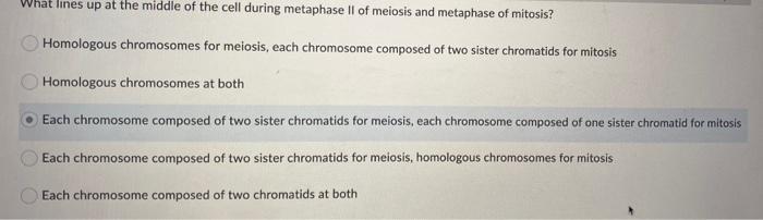 Solved If you are looking at a cell undergoing mitosis using | Chegg.com