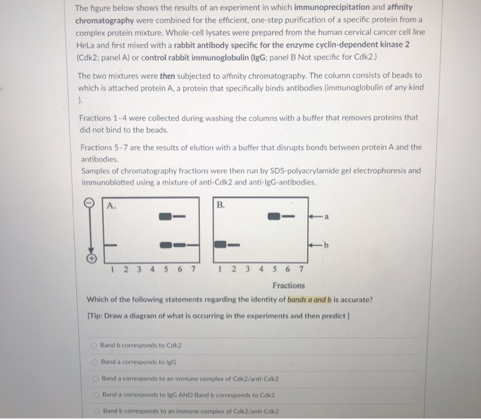 Solved The figure below shows the results of an experiment | Chegg.com