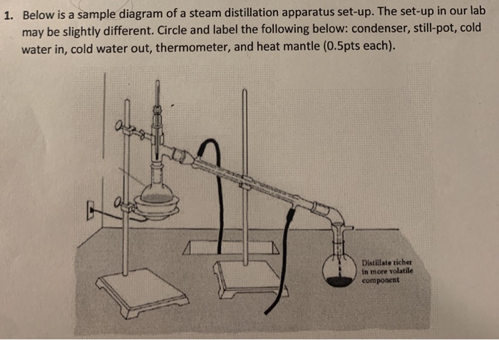 steam distillation apparatus