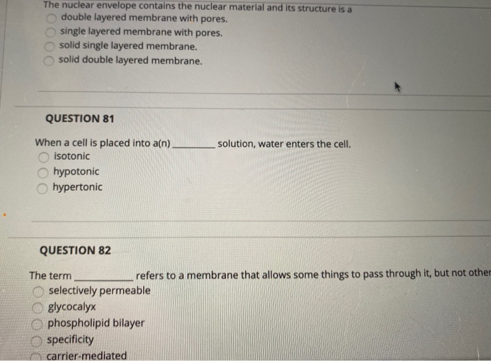 Solved The nuclear envelope contains the nuclear material | Chegg.com