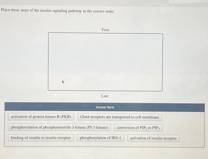 Solved Place these steps of the insulin signaling pathway in | Chegg.com