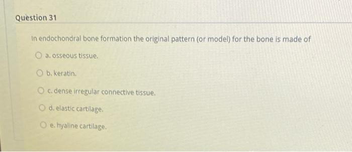 Solved Question 31 In endochondral bone formation the | Chegg.com