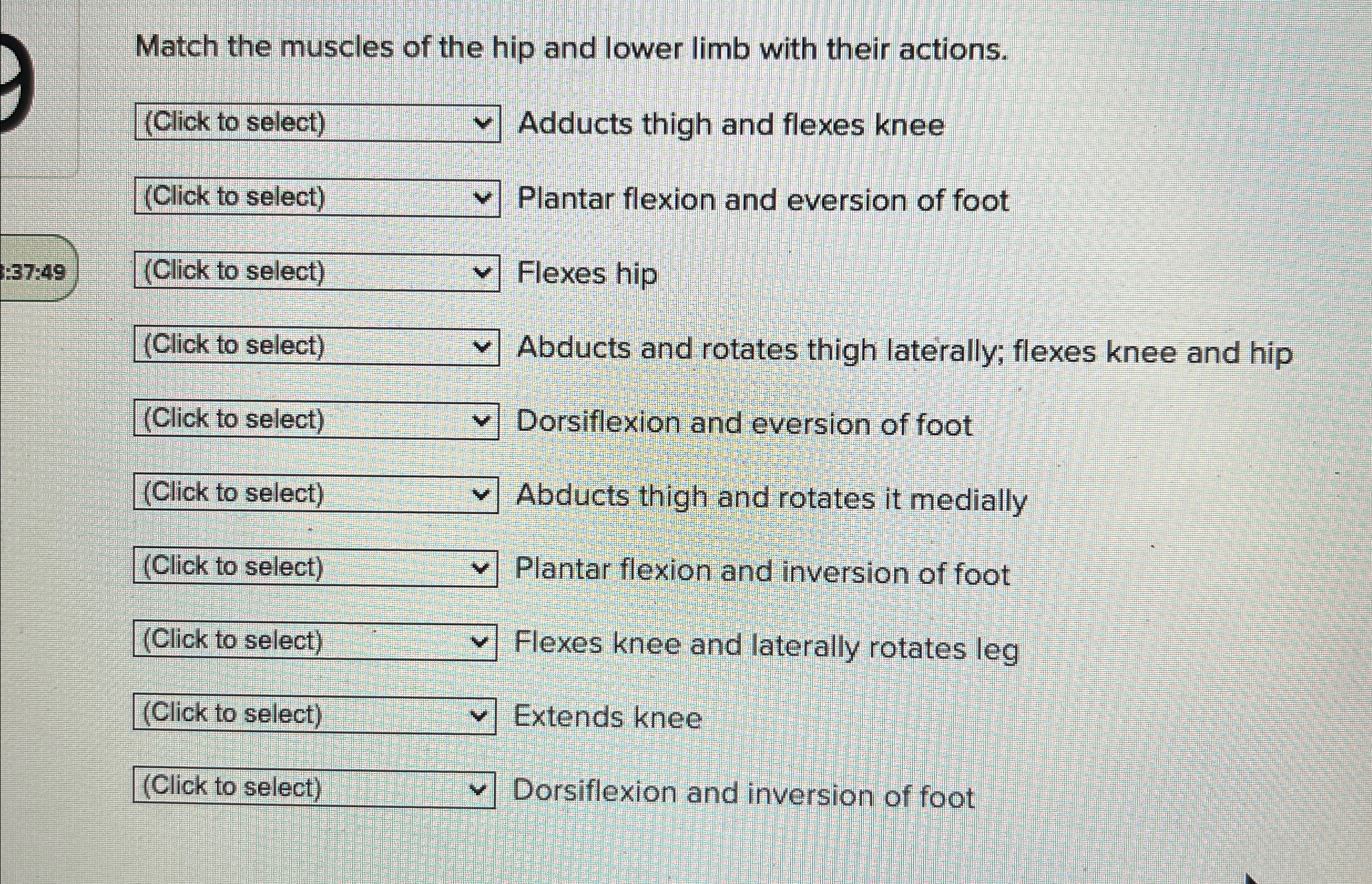 Solved Match the muscles of the hip and lower limb with | Chegg.com