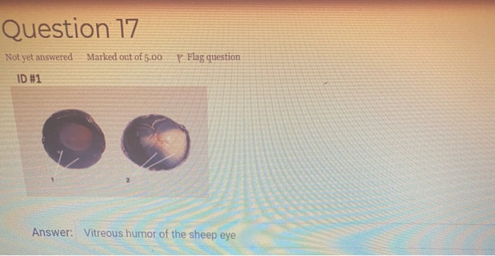 Solved Question 12 Not yet answered Marked out of 5.00 P | Chegg.com
