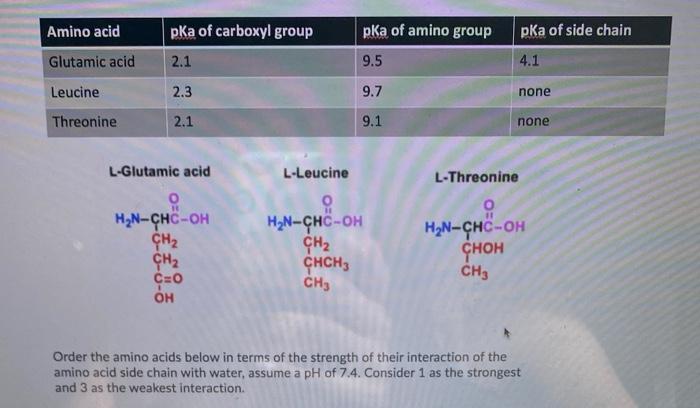 amino group and carboxyl group