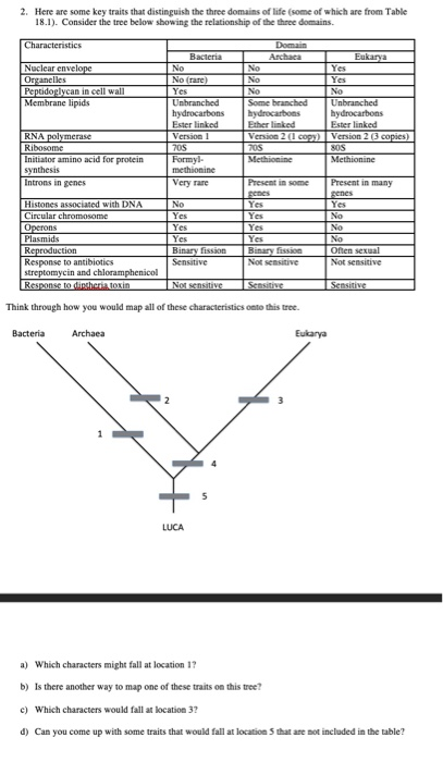 What are the 3 domains of life and their characteristics? Three Domain  Classification by Carl Woese