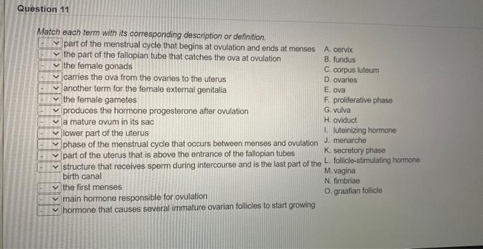 Solved Match Each Term With Its Corresponding Description Or