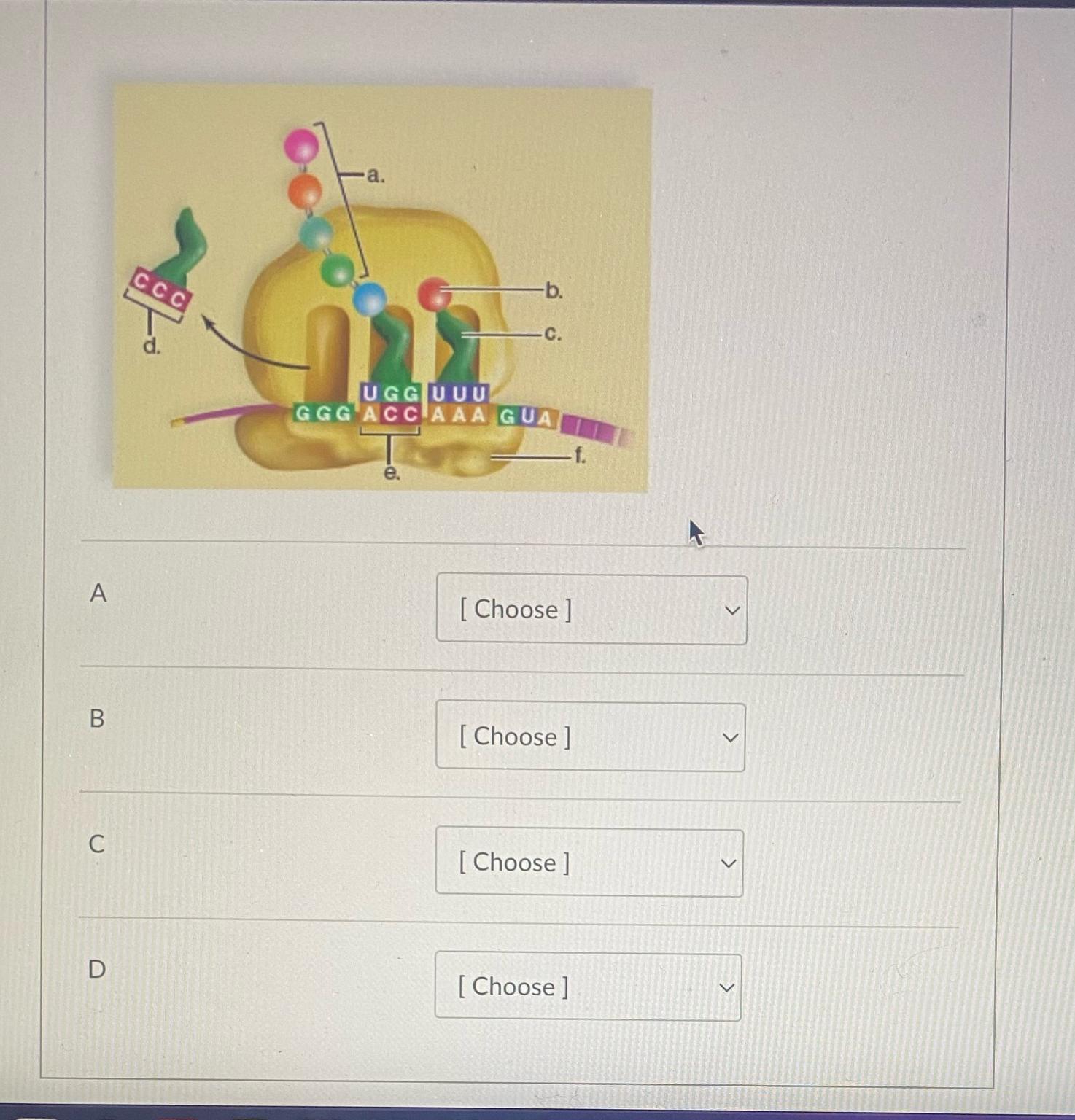 Solved A[ ﻿Choose ]B[ ﻿Choose]C[ ﻿Choose]D[ ﻿Choose] | Chegg.com