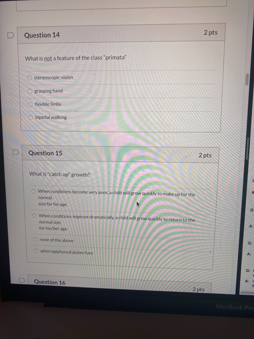 Solved Question 14 2 pts What is not a feature of the class | Chegg.com