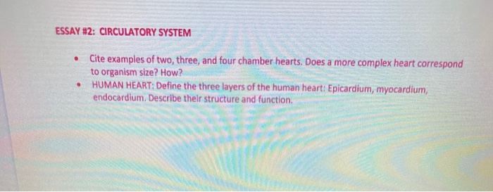 essay on human heart