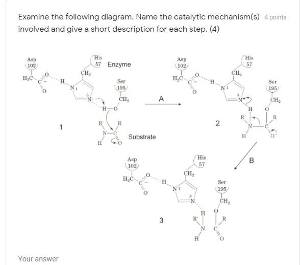 Solved Examine The Following Diagram. Name The Catalytic | Chegg.com