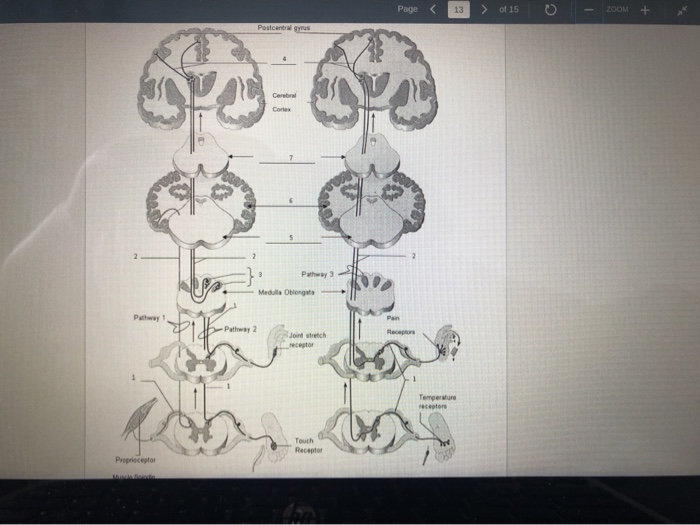 Solved For questions 6 - 10 use the following key to match | Chegg.com