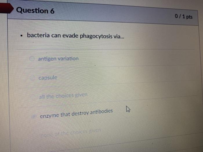 Solved Which step(s) of pathogenesis involve invasins? | Chegg.com