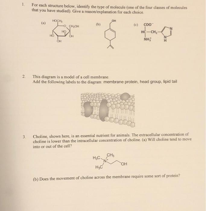 Solved 1. For each structure below, identify the type of | Chegg.com
