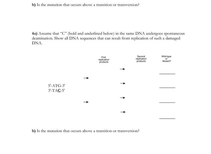Solved b) Is the mutation that occurs above a transition or | Chegg.com