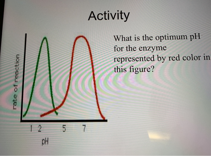 Solved Activity What is the optimum pH for the enzyme | Chegg.com