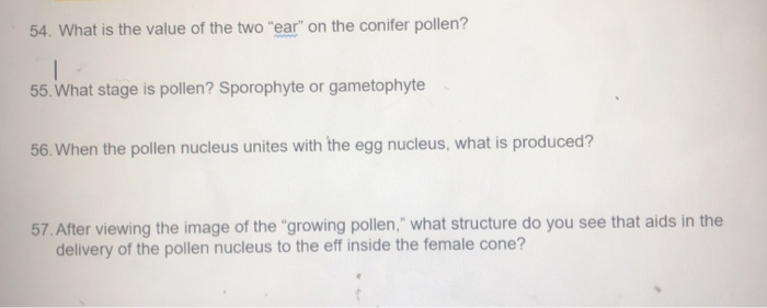 Solved 54. What is the value of the two 