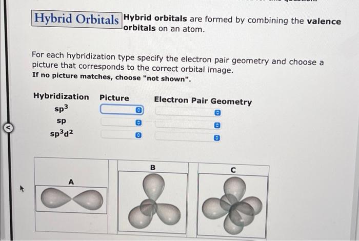 Solved Hybrid Orbitals Hybrid orbitals are formed by | Chegg.com