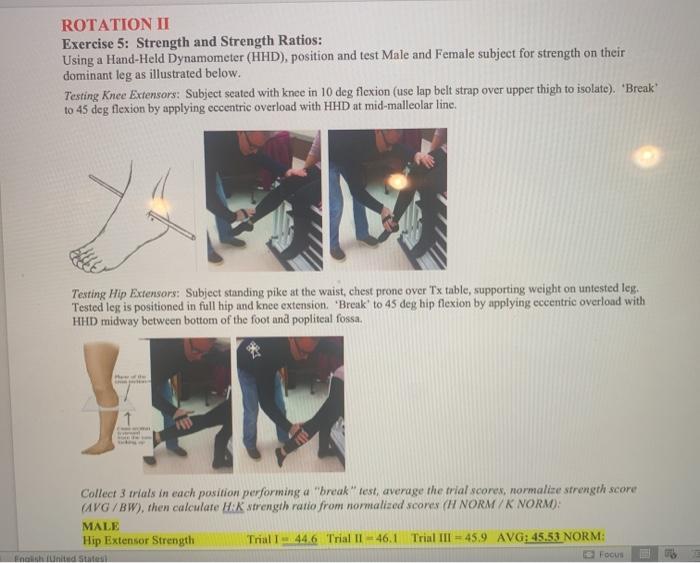 ROTATION II Exercise 5: Strength and Strength Ratios: Using a Hand-Held Dynamometer (HHD), position and test Male and Female