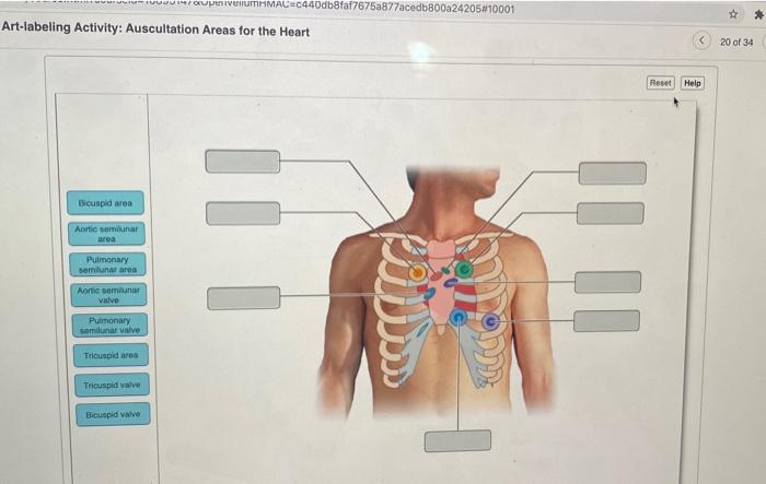 Solved UITBULVTIMMAC6440db8faf7675a877acedb800a24205810001 | Chegg.com