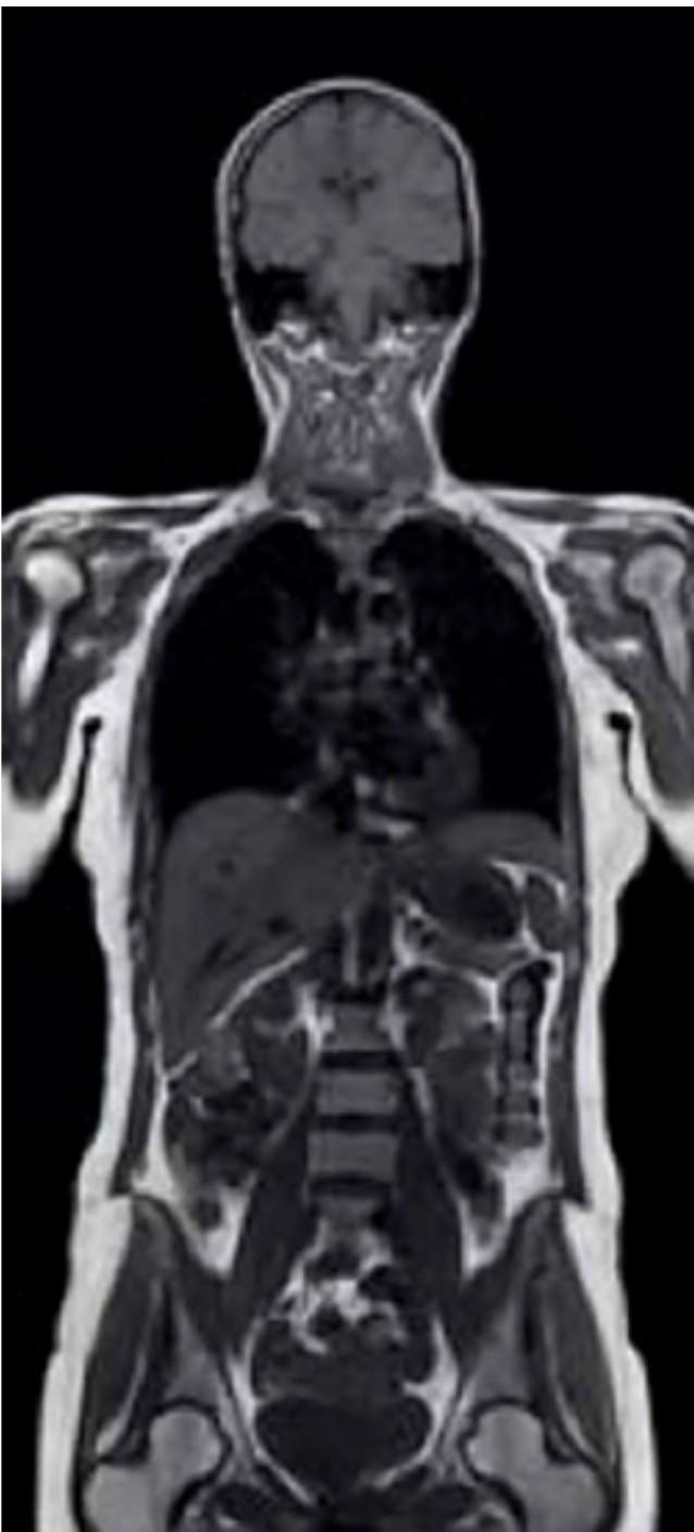 Solved Part 3: Write a custom M-script that will load a 3D | Chegg.com