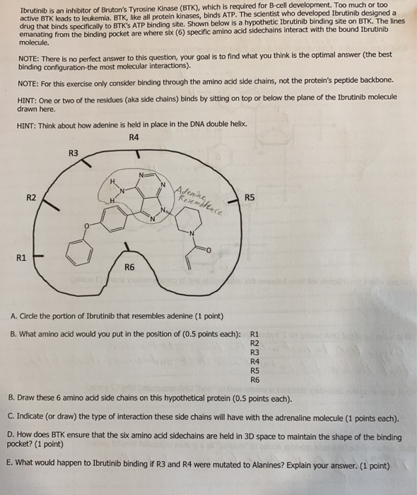 Solved Ibrutinib Is An Inhibitor Of Bruton's Tyrosine Kinase | Chegg.com
