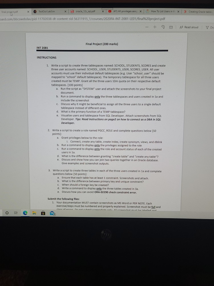 El final proyectpl TestOut Lab Sim x